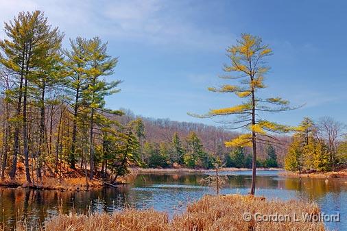 Frontenac Axis Scene_15491.jpg - Photographed in the Frontenac Axis of the Canadian Shield south of Westport, Ontario, Canada.